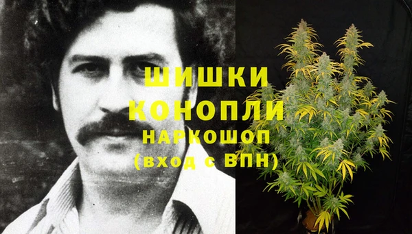 дживик Снежинск