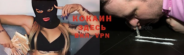 дживик Снежинск