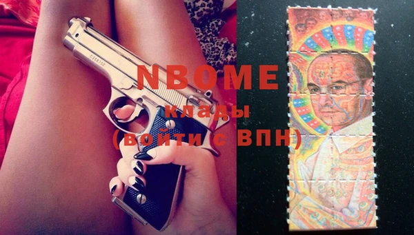 дмт Снежногорск