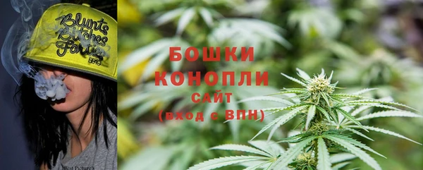 крисы Слюдянка