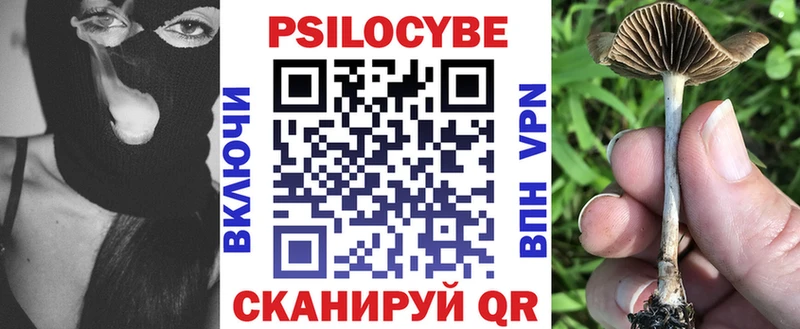 Псилоцибиновые грибы Magic Shrooms  как найти наркотики  Карачев 
